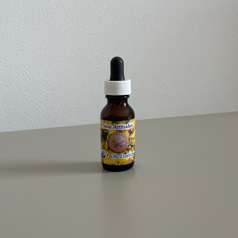 New Attitude / ニューアティテュード『新たなる姿勢』