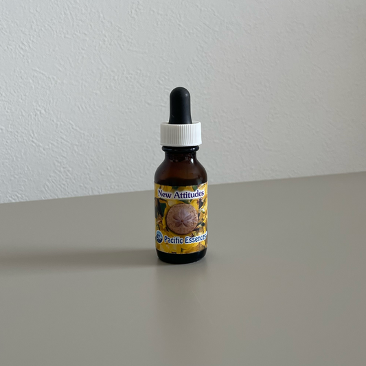 New Attitude / ニューアティテュード『新たなる姿勢』