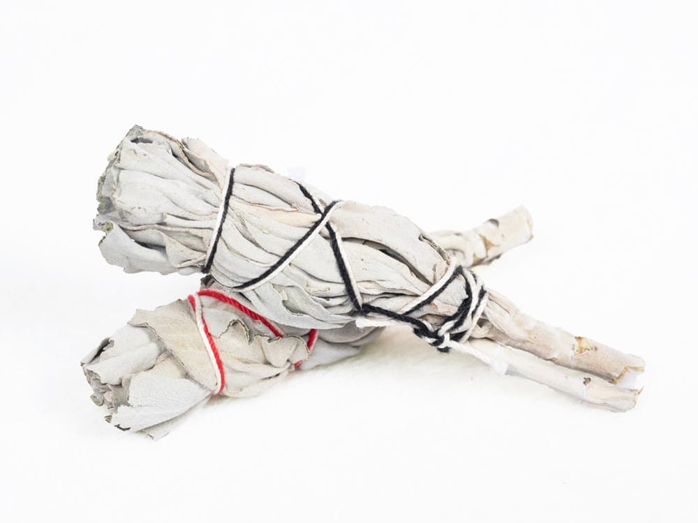 White Sage / ホワイトセージ